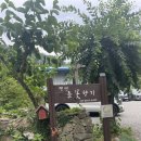 들꽃향기민박 | 전남 지리산 구례 계곡 펜션 추천 _ 가족 숙소 물놀이(최고예요)