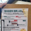 멍이와쿤이 | [후기] 멍이와쿤이 미어캣 라쿤카페