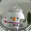 종로-숭인-종로-숭-202 | [6월 7월] 쫌쫌따리 음식 사진 모음집