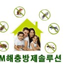 에코방제