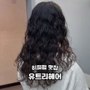 구디미용실 히피펌 맛집 유트리헤어 사니실장님 후기