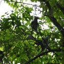 은평-022 이미지