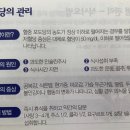 디에스메디칼