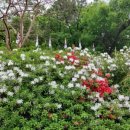 정각사입구 이미지