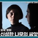 나무의꿈 | 최신 영화 개봉작 신성한 나무의 씨앗 정보 줄거리 후기 칸영화제 수상작