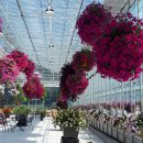 광주농협 로컬푸드직매장 동광주점 이미지