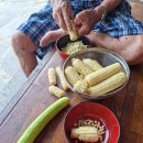 [찬샘레터 20/옥수수 이야기 4]찐 옥수수를 맛있게 먹으려면… 이미지