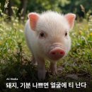 뮤지컬앤더넘버시리즈 온스테이지 | 혹시라도 길을 잃게 되면