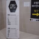 로벨르헤어 이미지