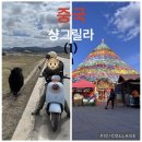 인형뽑기(고산점) | 중국여행/샹그릴라의 자연에 푸욱 빠지다(1)/야크 납빠해 (서이추환영)