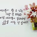 8월 10일(토) 일산정모에 회원여러분을 초대합니다 이미지