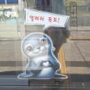 아이랑 가볼만한곳 가성비 최고! 실감 영상부터 상품권 환급까지 이사부 독도 기념관 재방문 솔직 후기
