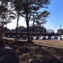 초정참숯가마찜질방 이미지