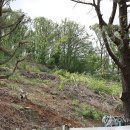 백로서식지 이미지