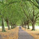 켐브릿지 이미지