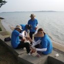 도대교회 이미지