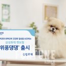 위풍댕댕 이미지