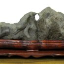 하늘다리 이미지