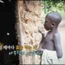 로드17