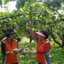 우정보조기 이미지