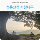 성흥로97번길 네이버블로그