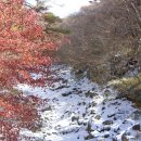 서귀포종합사회복지관 이미지