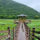 고성(Goseong)&#34; 여행: 상족암군립공원, 고성장산숲, 고성송학동고분군, 상리연꽃공원, 카페도어스