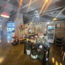 도도브로스 이미지