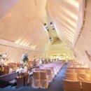 소노펠리체 이미지