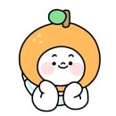 제주노을보리 이미지