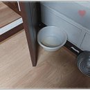 어느 하루 | 역삼동 변기막힘 후기로 남기는 어느 평범한 하루의 기록