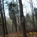 구봉산근린공원 이미지