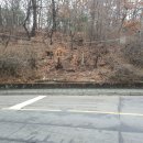 근린공원주유소 이미지