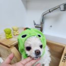 보미미용실 이미지