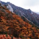 금강 - 용산구 만리재로36길 16-1 | 금강