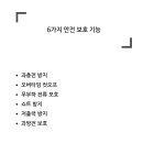 잠실너구리 이미지