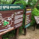 보아스식당 이미지