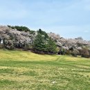 상당산성 Daum카페
