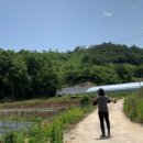 내아들농장 이미지