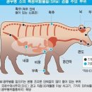 광우목장 네이버블로그