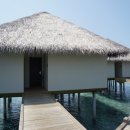 위드오션1 이미지