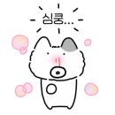 신일탕 이미지