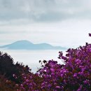 대금산진달래길(등산) 이미지