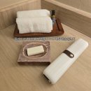 (주)엑센 | 🪥 위생까지 챙기는 여행 필수템, 플레이고 TS200 휴대용 칫솔살균기 사용 후기