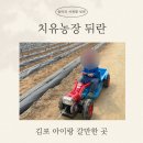 153농장 | 김포 아이랑 갈만한 곳 치유농장 뒤란 모래놀이 후기