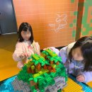 금빛호수 태권도 옥수관 | 금빛호수 태권도장ㅣ레고 랜드ㅣ제자들 얼굴에 웃음꽃이 핀 이유ㅣ금호동 태권도장ㅣ옥수동 태권도장ㅣ...