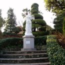 장승포유람선터미널 이미지