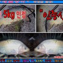 대물낚시터 이미지