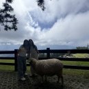 혜린농장 이미지