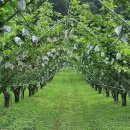 진솔농장 이미지